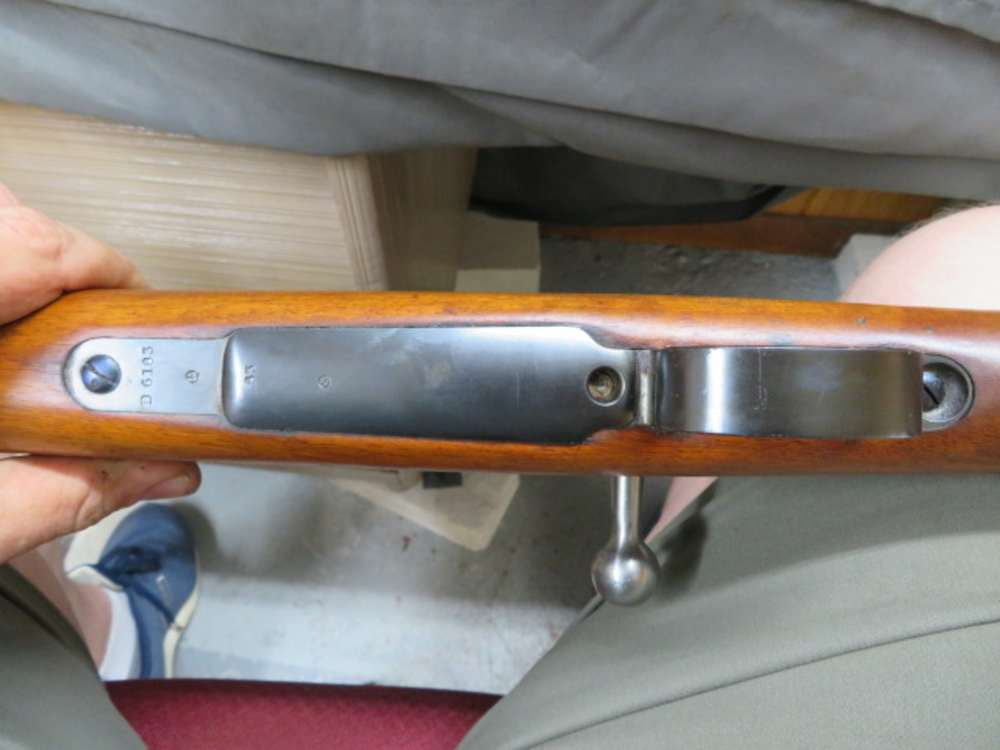 Close-up of the rifle's ladder-style rear sight